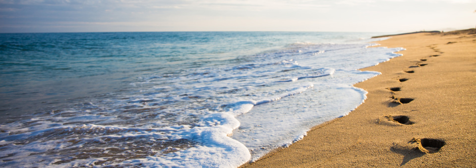 Footprints in the Sand